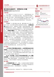 商贸零售行业月报:国内经济企稳回升,消费者信心回暖