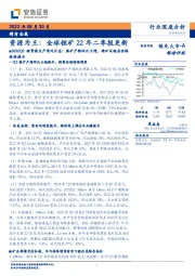 稀有金属行业深度分析：资源为王：全球锂矿22年二季报更新