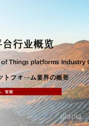 2022年中国物联网平台行业概览