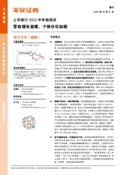 上市银行2022半年报综述:营收增长放缓,个体分化加剧