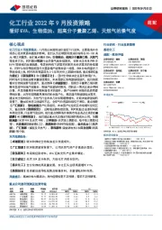 化工行业2022年9月投资策略：看好EVA、生物柴油、超高分子量聚乙烯、天然气的景气度