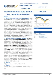 OLED面板行业报告：OLED迎来发展良机，供应链国产化率加速提升