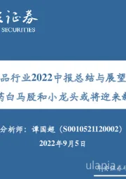 药品行业2022中报总结与展望：创新药白马股和小龙头或将迎来新机遇