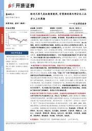 础化工行业深度报告:欧洲天然气危机愈演愈烈,有望推动国内部分化工品步入上行周期