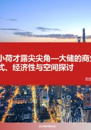 大储的商业模式、经济性与空间探讨：小荷才露尖尖角