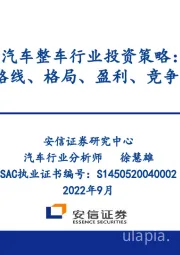 汽车整车行业投资策略：技术路线、格局、盈利、竞争、车企