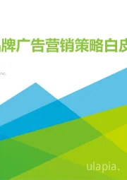中国品牌广告营销策略白皮书