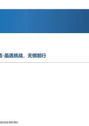 航空新材料2022年中报总结-虽遇挑战，无惧前行