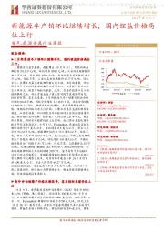 有色-能源金属行业周报:新能源车产销环比继续增长,国内锂盐价格高位上行