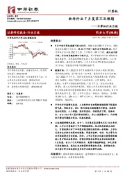 计算机行业月报：软件行业7月复苏不及预期