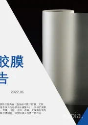 2022年中国光伏胶膜行业短报告