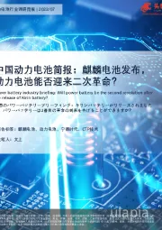 中国动力电池简报：麒麟电池发布，动力电池能否迎来二次革命？