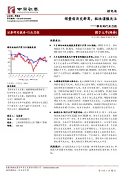 锂电池行业月报：销量创历史新高，板块谨慎关注