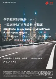 数字能源系列报告(一):中国虚拟电厂市场分析(摘要版)