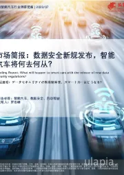 市场简报：数据安全新规发布，智能汽车将何去何？
