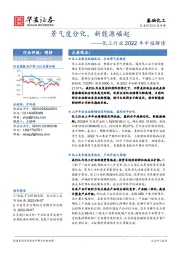 化工行业2022年中报解读：景气度分化，新能源崛起