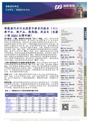 新能源汽车行业投资手册系列报告(七):新平台、新产品、新周期、再成长(含蔚小理2Q22业绩回顾)