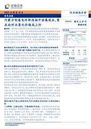 有色金属：内蒙古优惠电价取消抬升金属成本，需求向好石墨化价格或上行