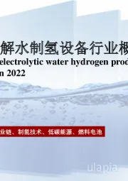 2022年中国电解水制氢设备行业概览