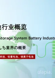 2022年中国储能电池行业概览