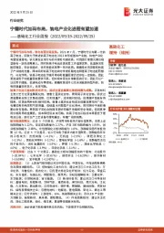 基础化工行业周报:宁德时代加码布局,钠电产业化进程有望加速