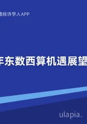 2022年东数西算机遇展望：大国算力