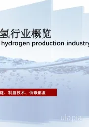 2022年中国制氢行业概览