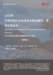 2022年中国光伏行业电池技术路线概览：谁将引领未来（摘要版）