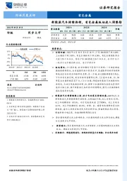 有色金属行业月度点评：新能源汽车持续热销，有色金属板块进入调整期