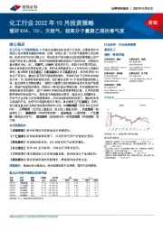 化工行业2022年10月投资策略：看好EVA、TDI、天然气、超高分子量聚乙烯的景气度