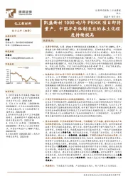 化工新材料行业周报:凯盛新材1000吨/年PEKK项目即将量产,中国半导体制造业的本土化程度持续提高