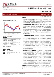 锂电池行业月报：销量持续历史新高，板块可关注