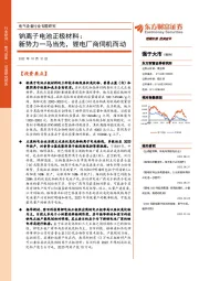 电气设备行业专题研究：钠离子电池正极材料：新势力一马当先，锂电厂商伺机而动