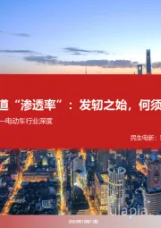 电动车行业深度:论道“渗透率”:发轫之始,何须担忧?