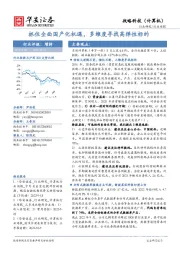 战略科技（计算机）行业周报：抓住全面国产化机遇，多维度寻找高弹性标的