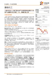 基础化工行业研究周报：上海市印发《 上海打造未来产业创新高地发展壮大未来产业集群行动方案》，TDI、烧碱价格上涨