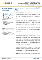 旅游及景区行业投资策略周报：三亚客流短期回落，国际航班有望回暖