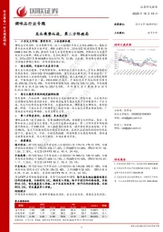 调味品行业专题：龙头乘势而进，第二方阵破局