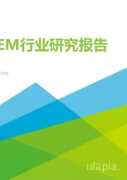 中国CEM行业研究报告