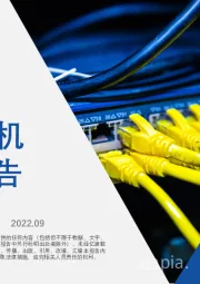 2022年中国交换机行业短报告