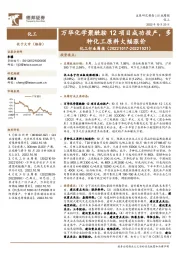 化工行业周报:万华化学聚酰胺12项目成功投产,多种化工原料大幅涨价