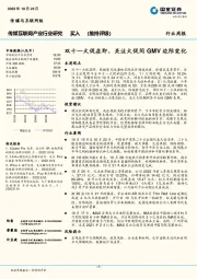 传媒互联网产业行业研究：双十一大促在即，关注大促间GMV边际变化