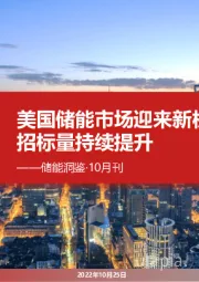 储能洞鉴·10月刊:美国储能市场迎来新机遇,国内招标量持续提升