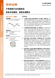 户用储能行业深度报告：高成长性赛道，放眼全球舞台