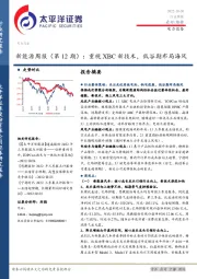 新能源周报（第12期）：重视XBC新技术，低谷期布局海风