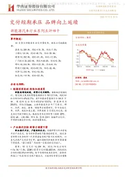新能源汽车行业系列点评四十：交付短期承压 品牌向上延续