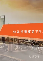 证券行业2022年三季报综述:权益市场震荡下行,券商业绩延续承压