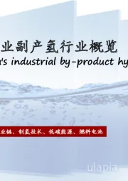 2022年中国工业副产氢行业概览