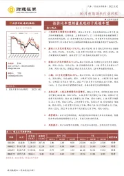 10月新能源车行业洞察：性价比车型销量表现好于高端车型