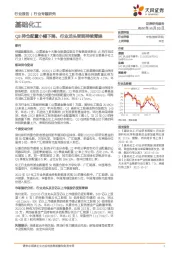 基础化工行业专题研究:Q3持仓配置小幅下降,行业龙头受到持续青睐